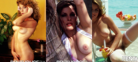 Cynthia Peterson, Penthouse pet of the month September 1981.